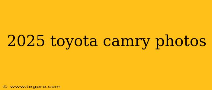 2025 toyota camry photos