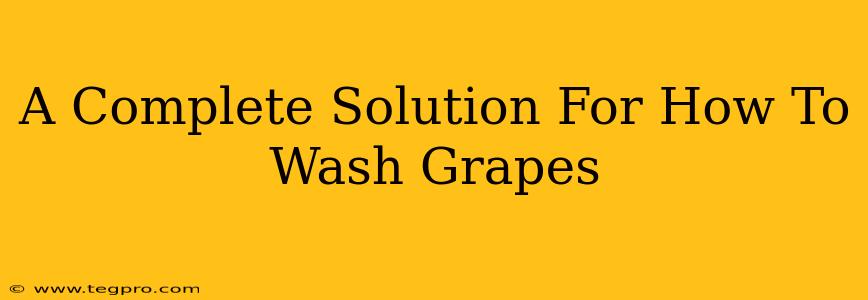 A Complete Solution For How To Wash Grapes