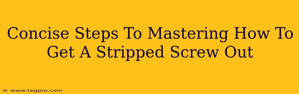 Concise Steps To Mastering How To Get A Stripped Screw Out