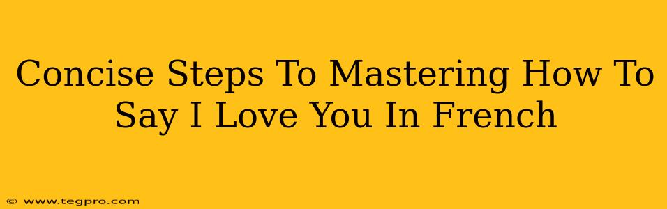 Concise Steps To Mastering How To Say I Love You In French