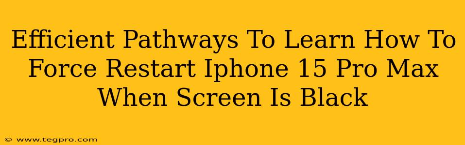 Efficient Pathways To Learn How To Force Restart Iphone 15 Pro Max When Screen Is Black