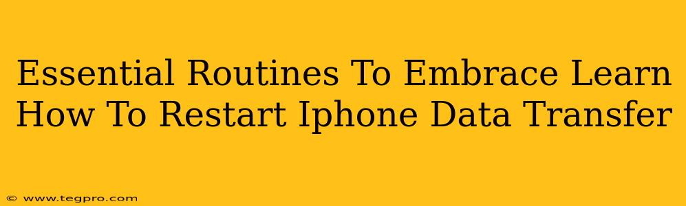 Essential Routines To Embrace Learn How To Restart Iphone Data Transfer