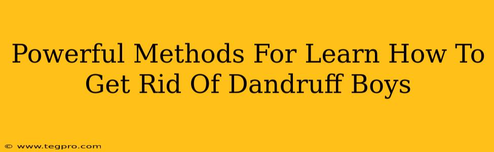 Powerful Methods For Learn How To Get Rid Of Dandruff Boys